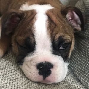 Meet your Posher, Nathaniel